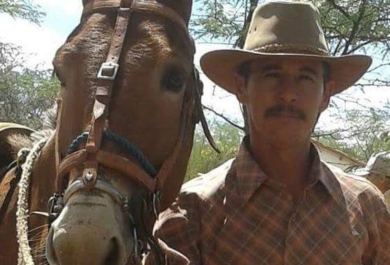 Cavalo morre após receber quase 50 chicotadas e golpes de pá do dono